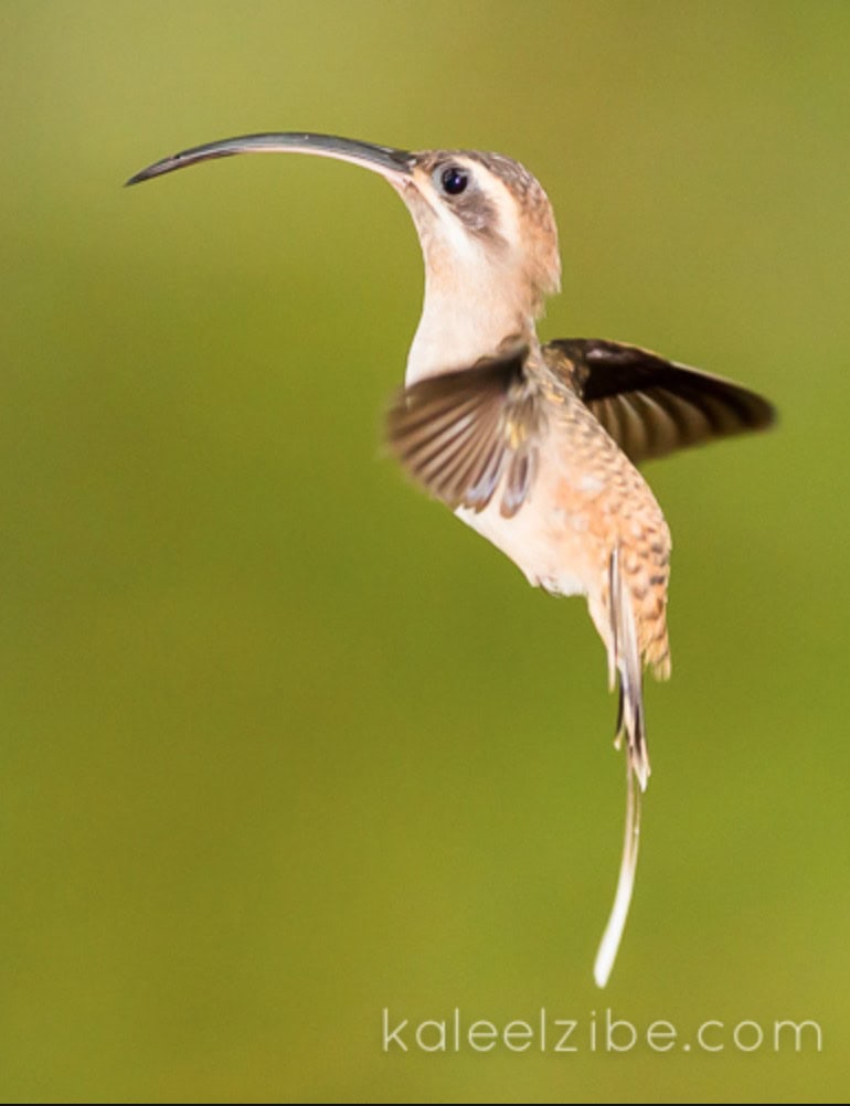 Screenshot 2022-12-05 at 18.38.39