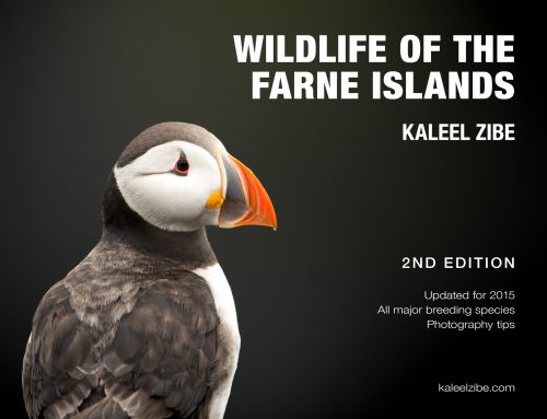 Wildlife of the Farne Islands 2nd Edition