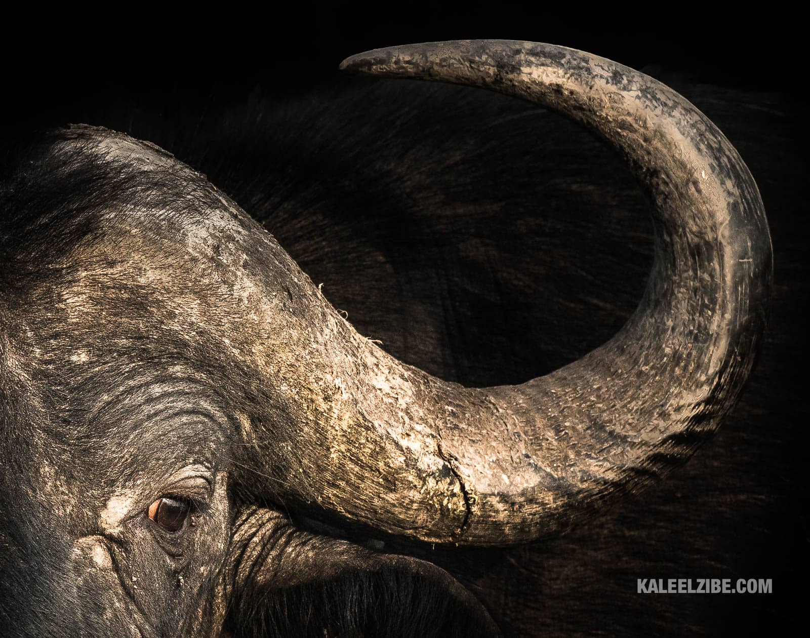 20170902-_5006715-KaleelZibe.com